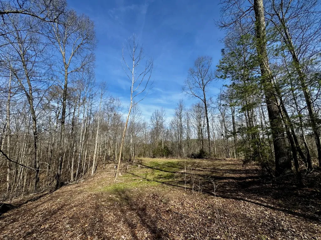 217 Acres Highway 1675 Somerset KY 42501