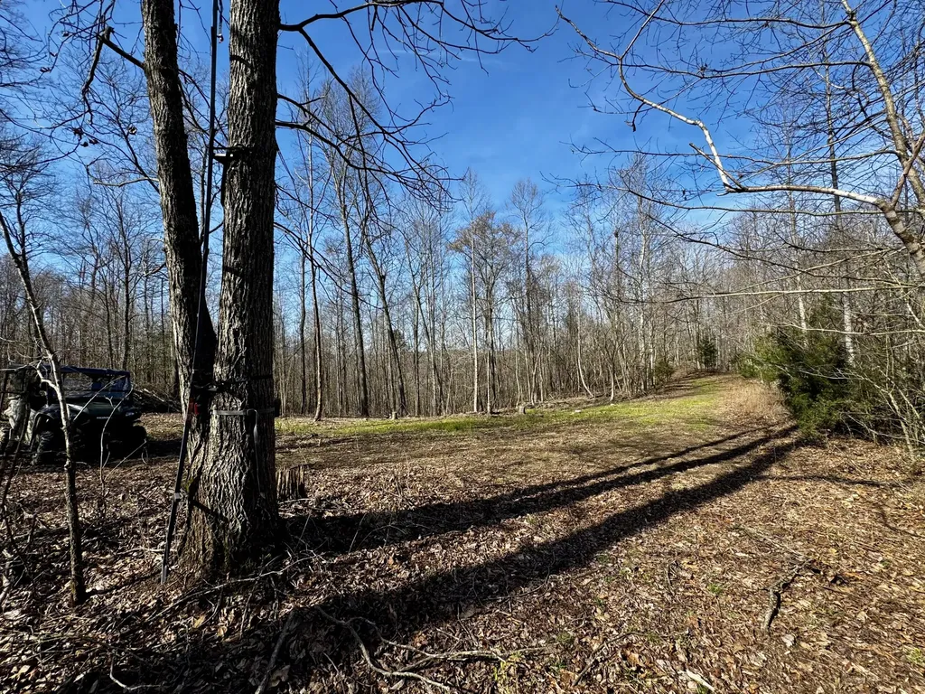 217 Acres Highway 1675 Somerset KY 42501