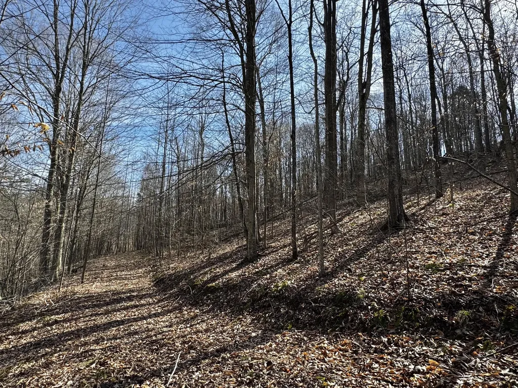 217 Acres Highway 1675 Somerset KY 42501