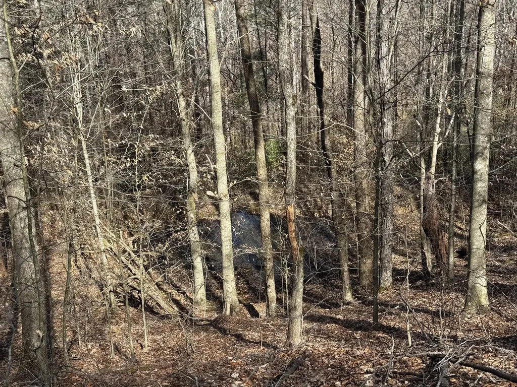 217 Acres Highway 1675 Somerset KY 42501