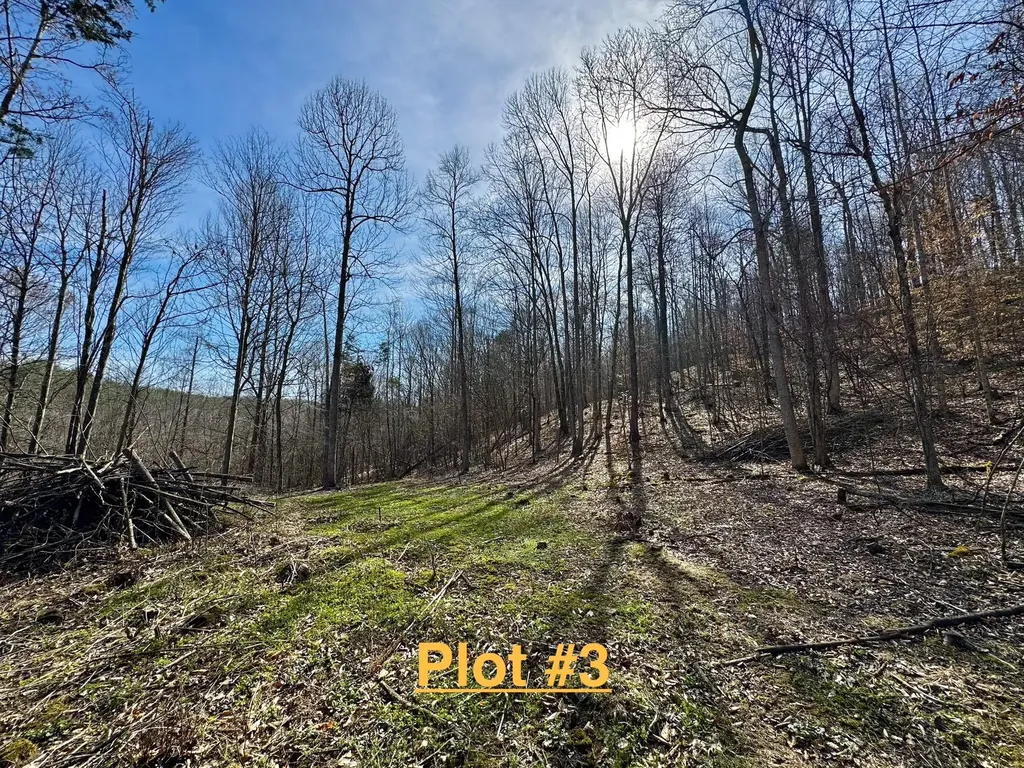 217 Acres Highway 1675 Somerset KY 42501