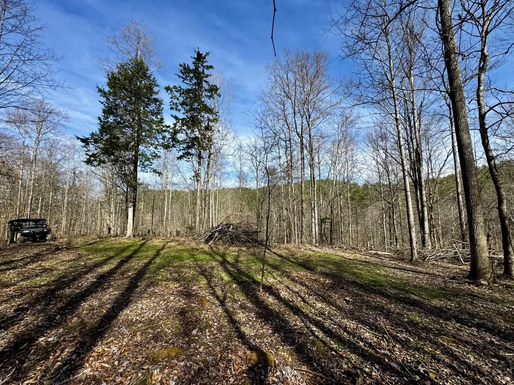 217 Acres Highway 1675 Somerset KY 42501