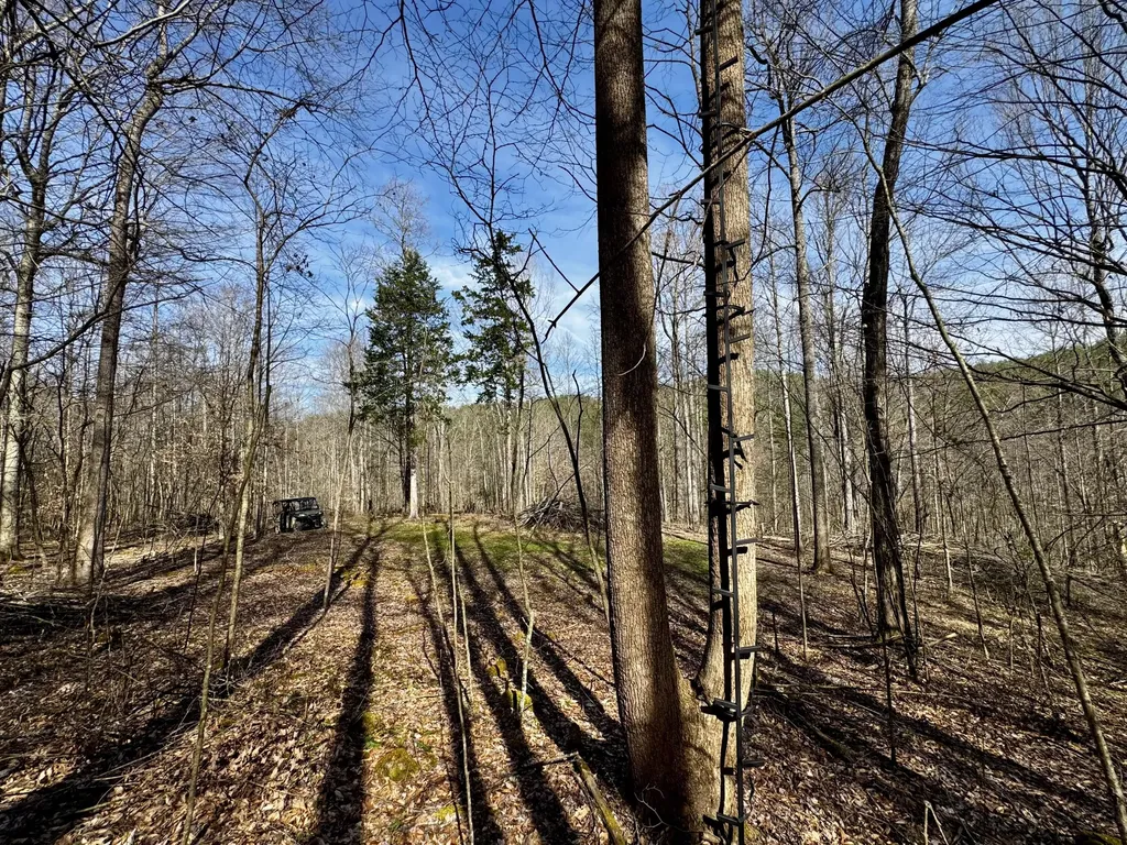 217 Acres Highway 1675 Somerset KY 42501