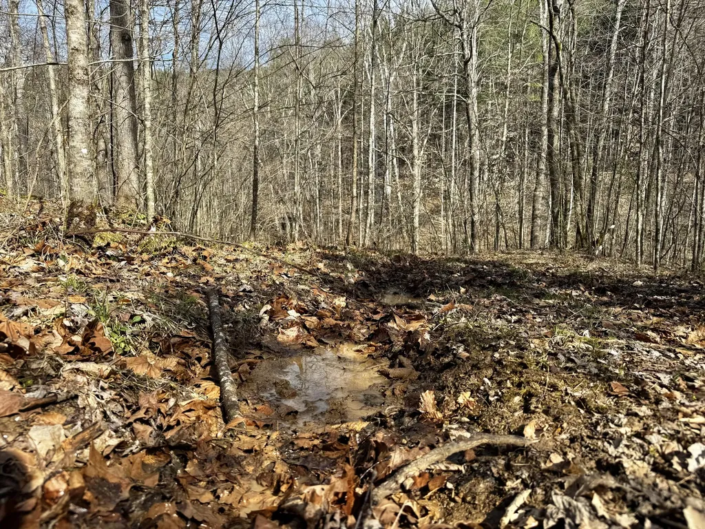 217 Acres Highway 1675 Somerset KY 42501
