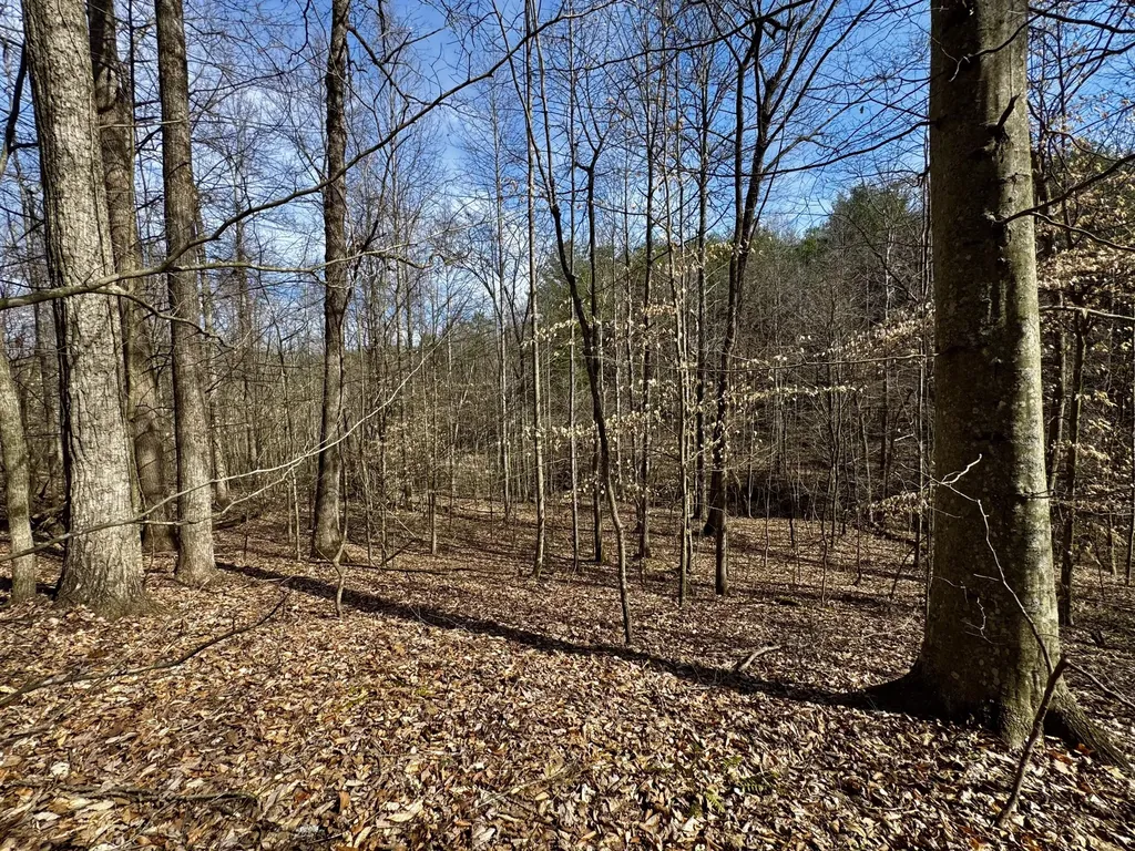 217 Acres Highway 1675 Somerset KY 42501