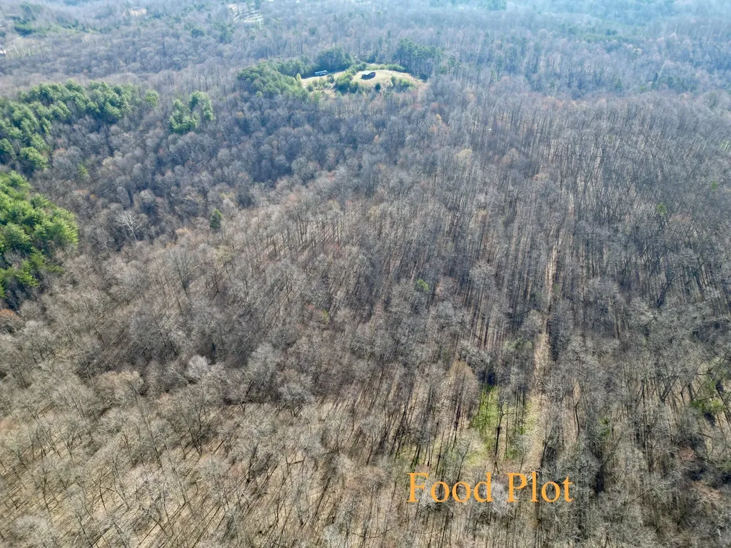 217 Acres Highway 1675 Somerset KY 42501