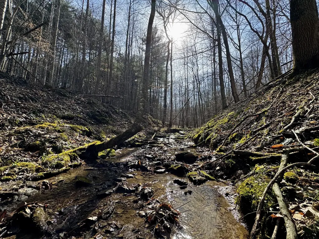 217 Acres Highway 1675 Somerset KY 42501