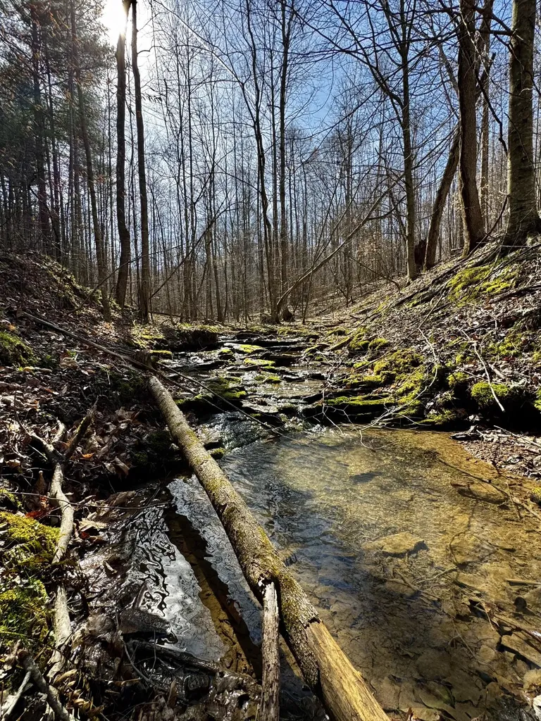 217 Acres Highway 1675 Somerset KY 42501