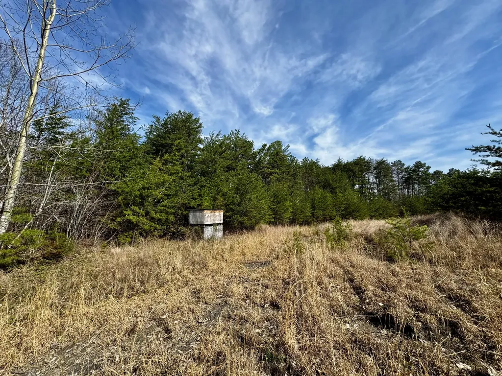 217 Acres Highway 1675 Somerset KY 42501