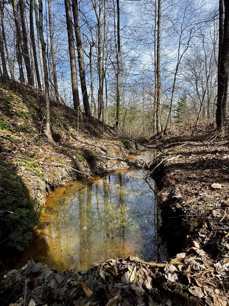 217 Acres Highway 1675 Somerset KY 42501