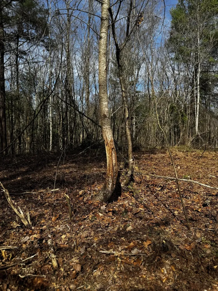 217 Acres Highway 1675 Somerset KY 42501