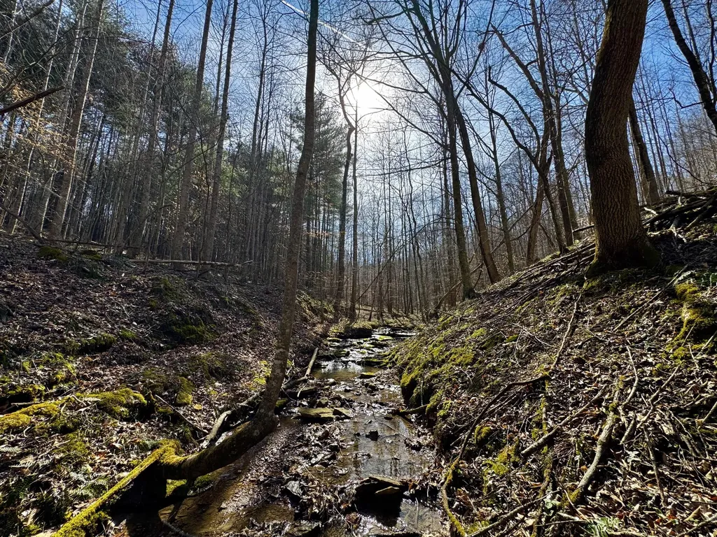 217 Acres Highway 1675 Somerset KY 42501