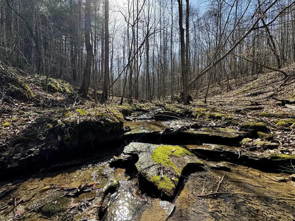 217 Acres Highway 1675 Somerset KY 42501
