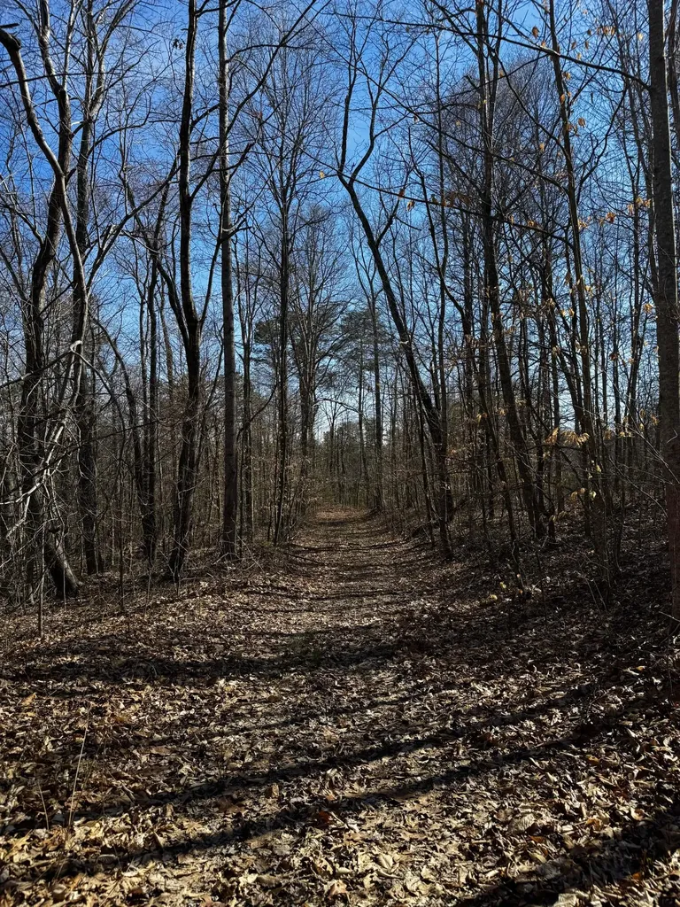 217 Acres Highway 1675 Somerset KY 42501