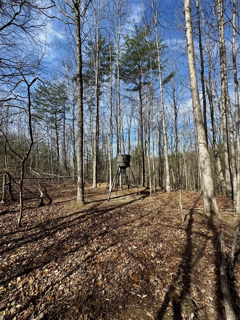 217 Acres Highway 1675 Somerset KY 42501