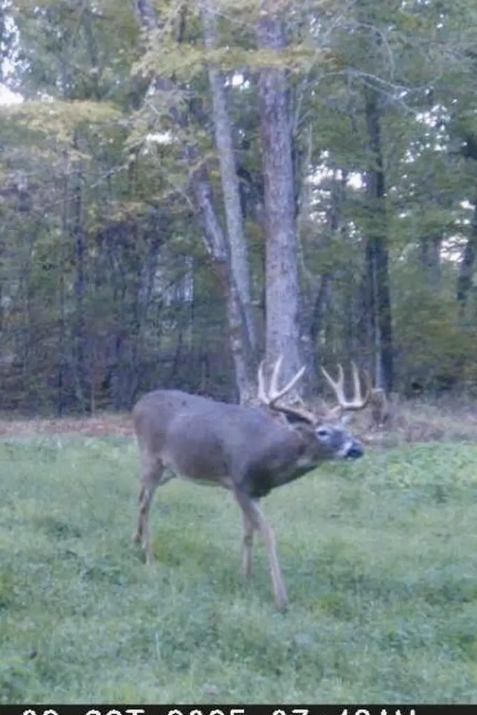 217 Acres Highway 1675 Somerset KY 42501