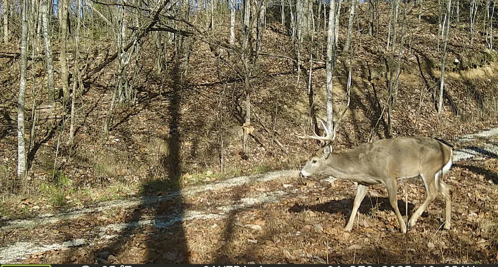 217 Acres Highway 1675 Somerset KY 42501