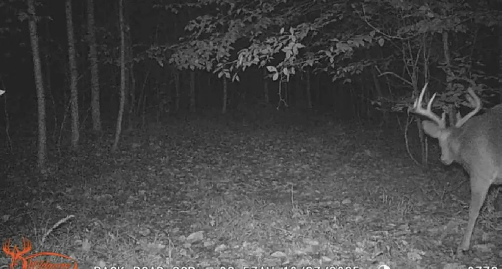 217 Acres Highway 1675 Somerset KY 42501