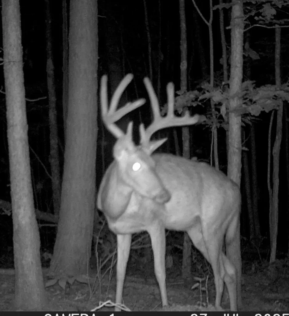 217 Acres Highway 1675 Somerset KY 42501