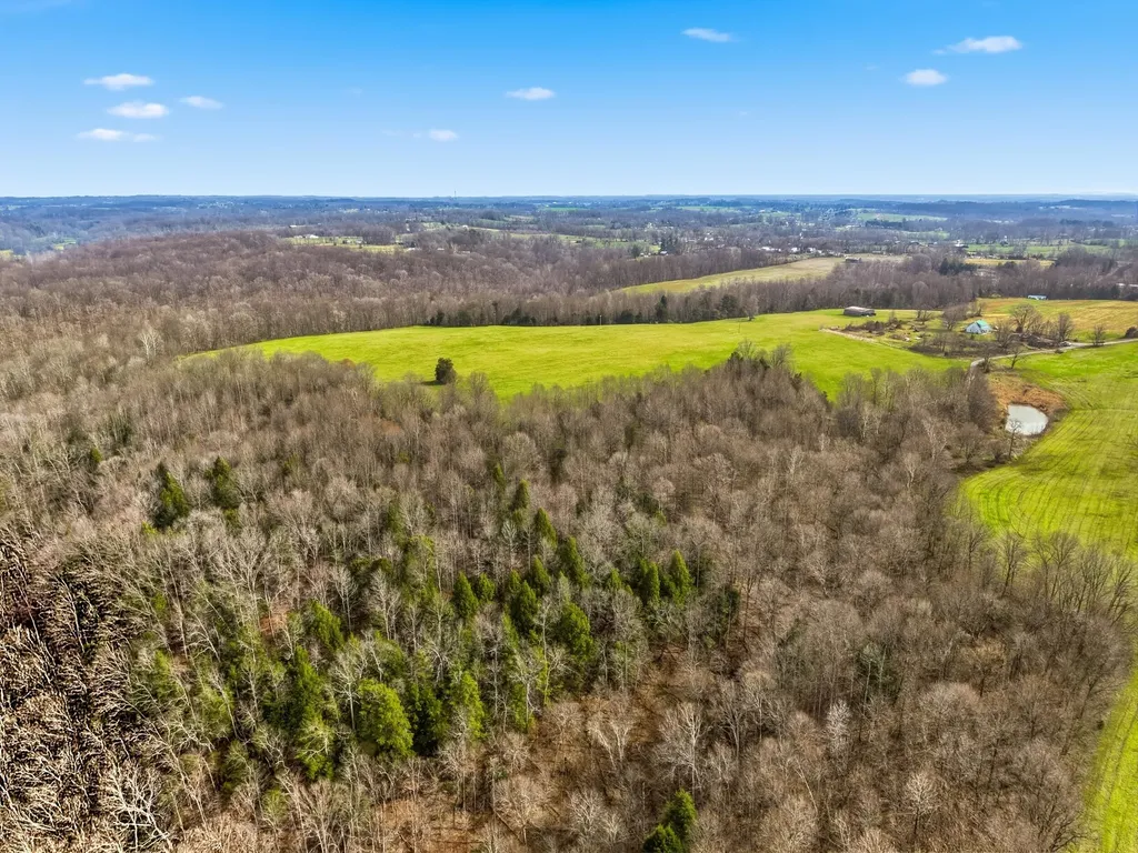 295 Spencer Gabbert Lane Waynesburg KY 40489