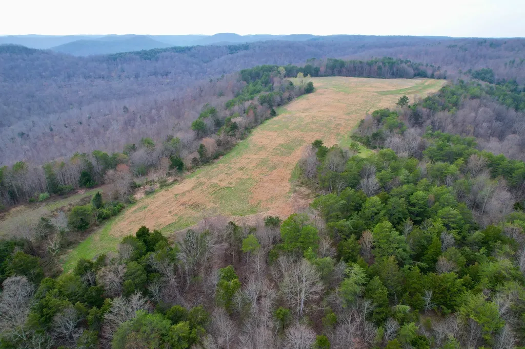 1330 Kentucky 790 Monticello KY 42633