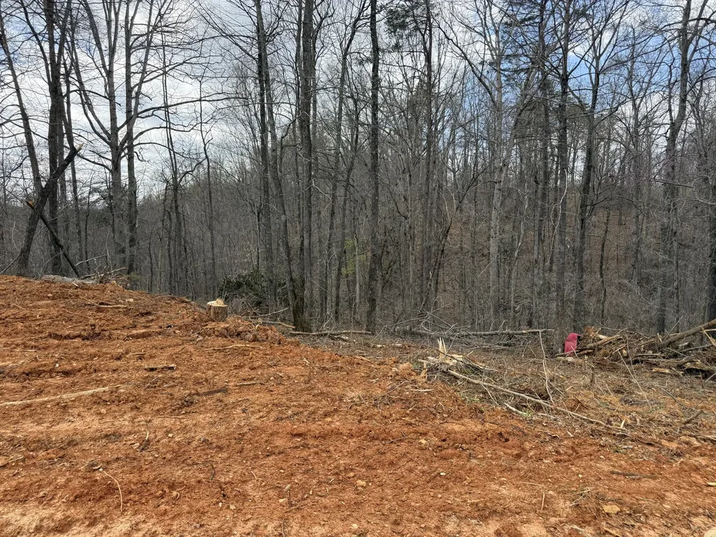 Lot 1 Phase 2 Stearns Hollow Road Monticello KY 42633