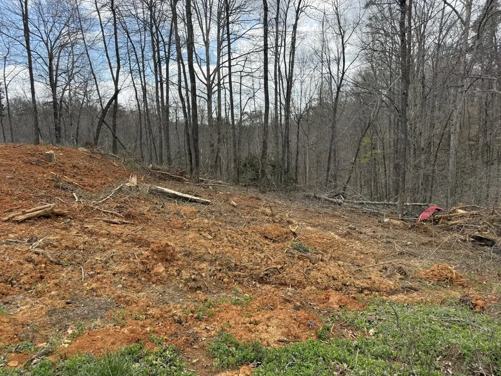 Lot 1 Phase 2 Stearns Hollow Road Monticello KY 42633