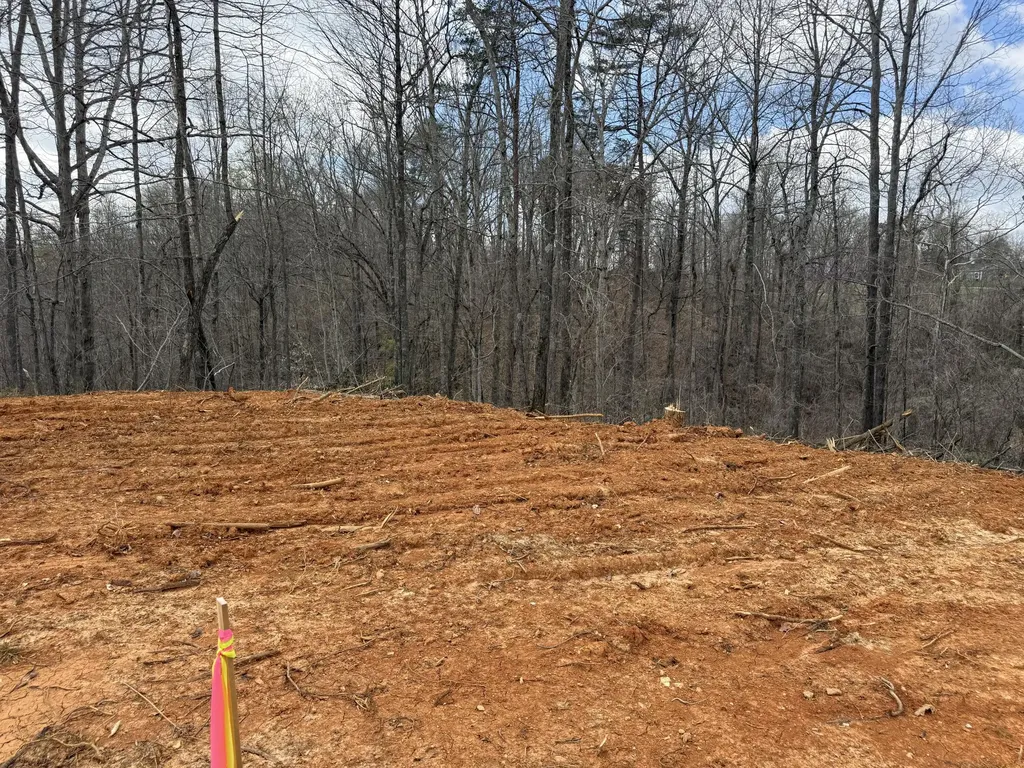 Lot 1 Phase 2 Stearns Hollow Road Monticello KY 42633