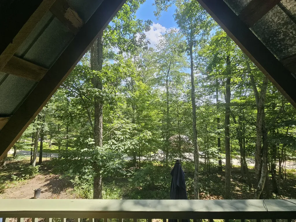 425 Turkey Ridge Road Wellington KY 40387