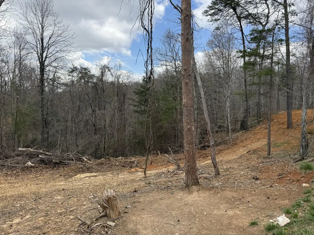 Lot 4 Phase 2 Stearns Hollow Road Monticello KY 42633
