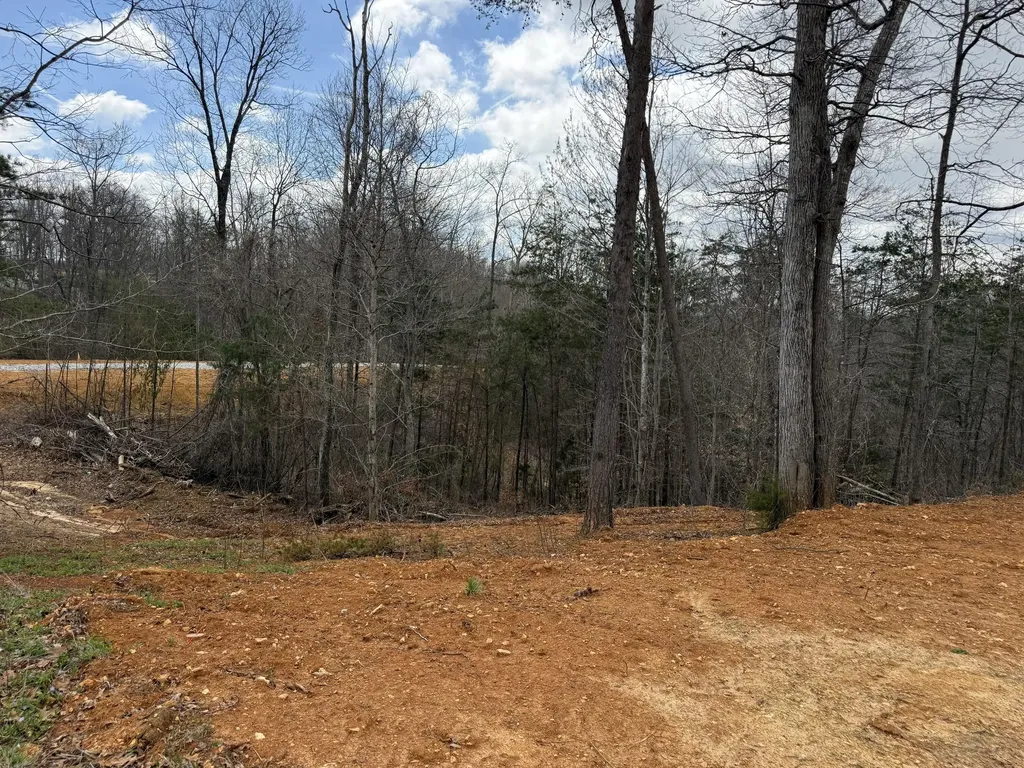 Lot 4 Phase 2 Stearns Hollow Road Monticello KY 42633