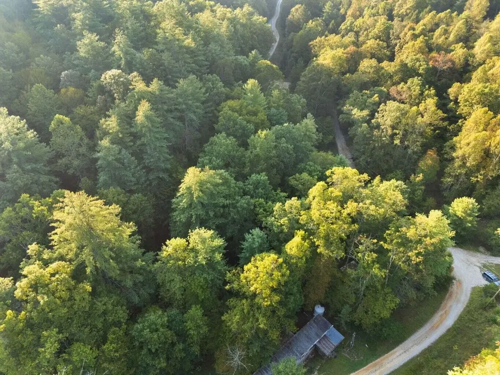 9999 Deer Track Road Beattyville KY 41311