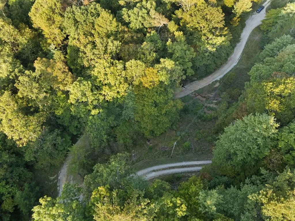 9999 Deer Track Road Beattyville KY 41311