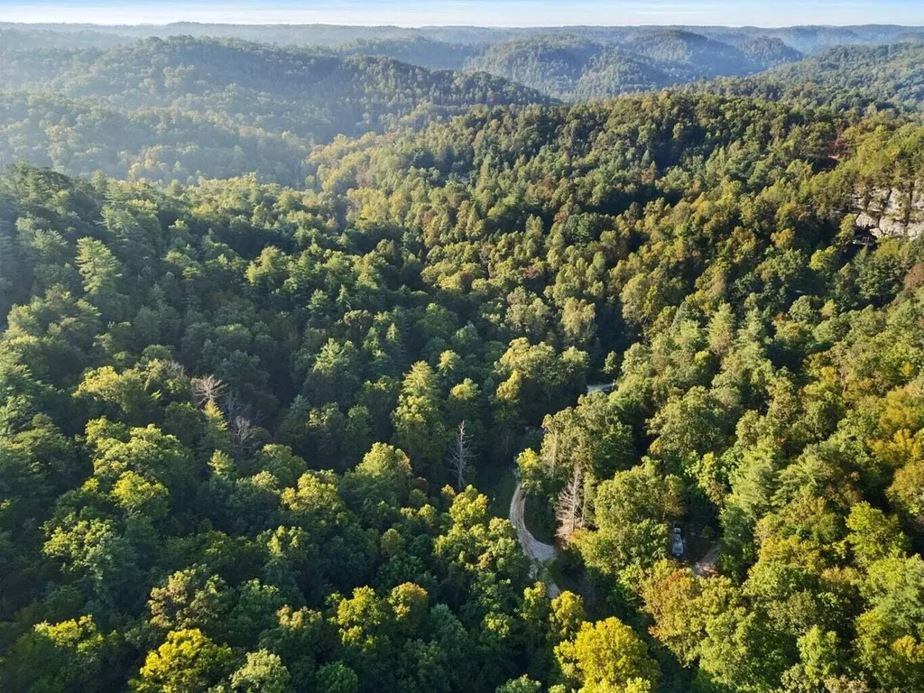 9999 Deer Track Road Beattyville KY 41311