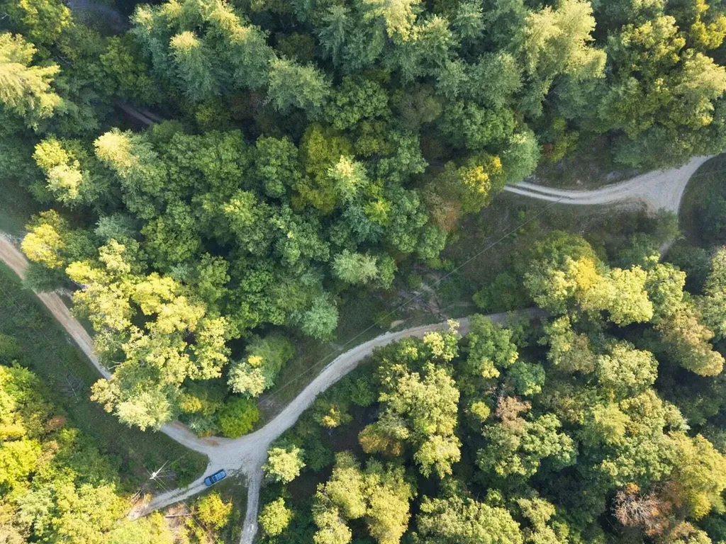 9999 Deer Track Road Beattyville KY 41311