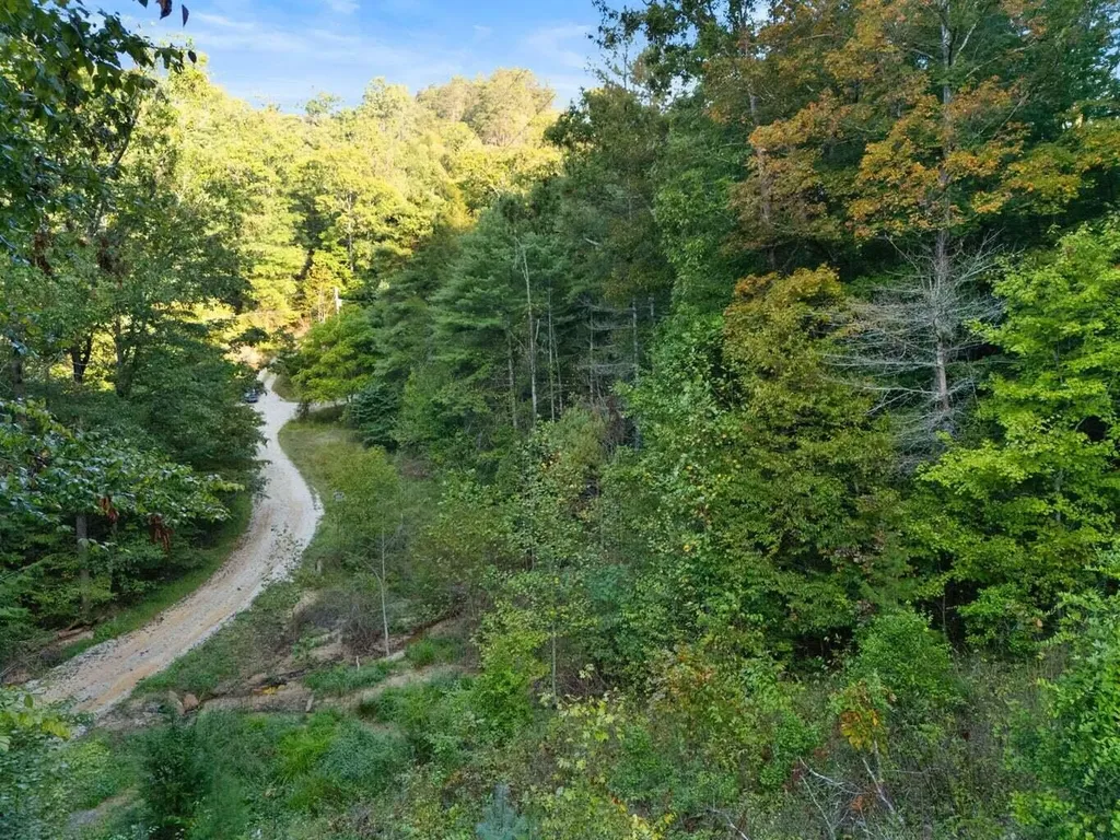 9999 Deer Track Road Beattyville KY 41311