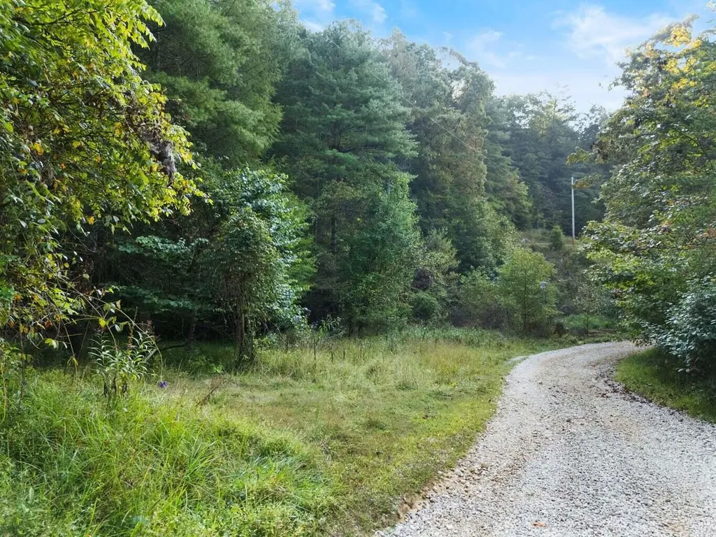 9999 Deer Track Road Beattyville KY 41311
