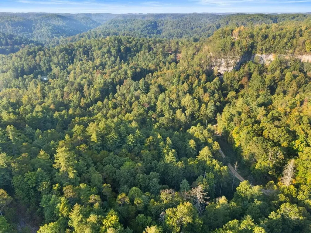 9999 Deer Track Road Beattyville KY 41311