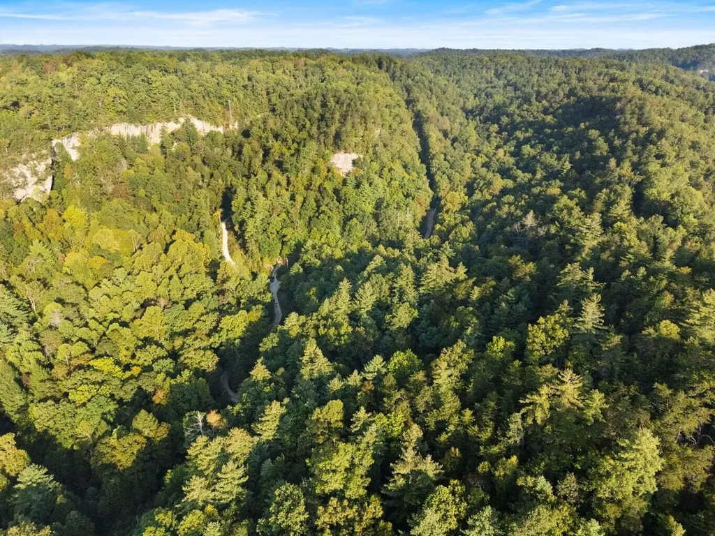 9999 Deer Track Road Beattyville KY 41311