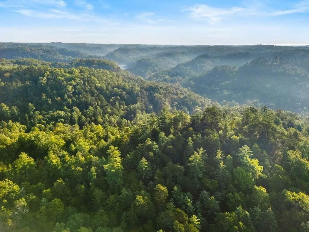 9999 Deer Track Road Beattyville KY 41311