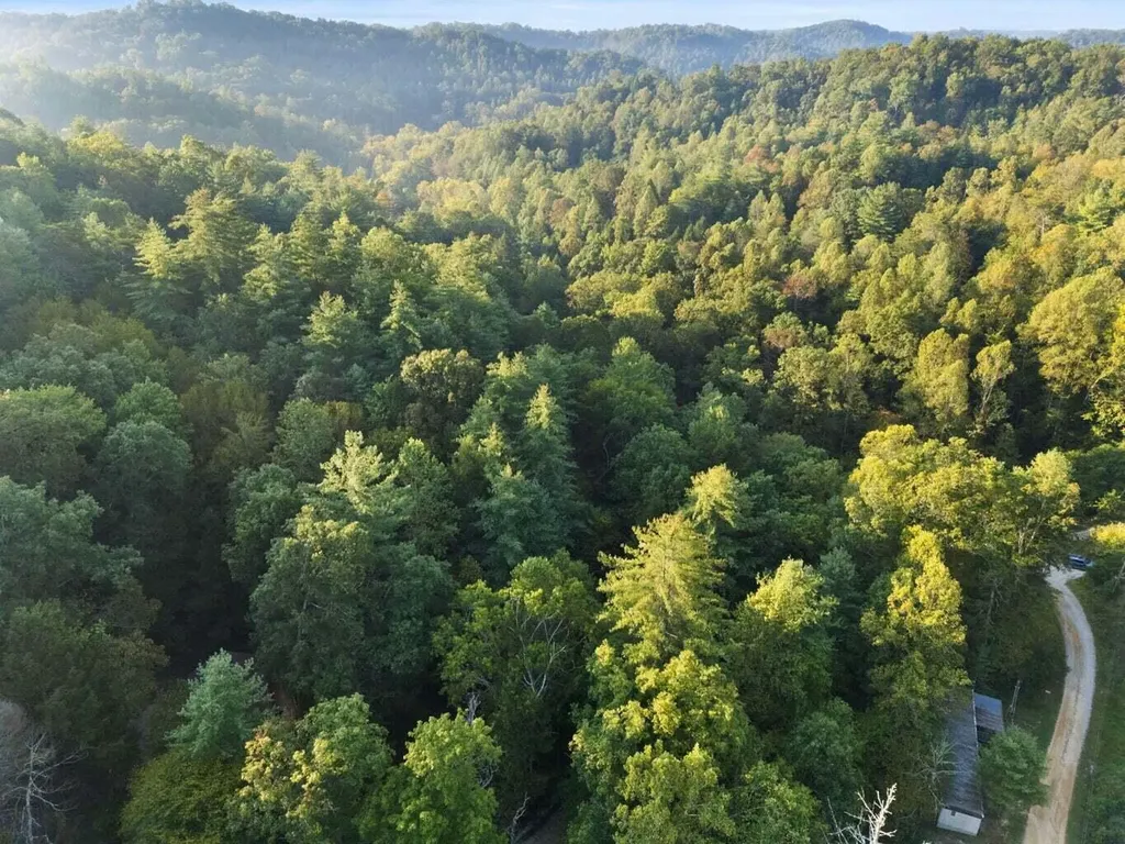 9999 Deer Track Road Beattyville KY 41311