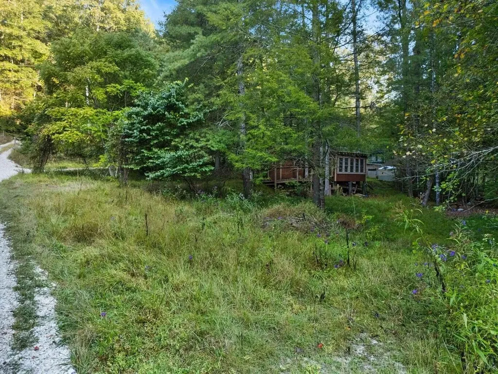 9999 Deer Track Road Beattyville KY 41311