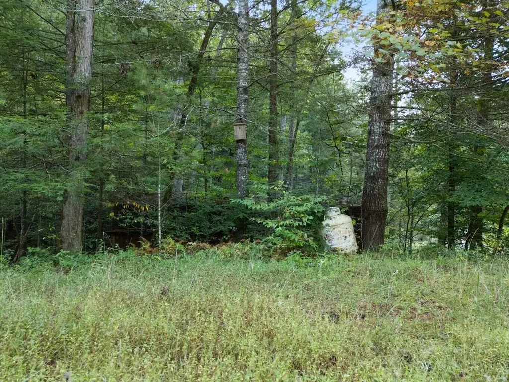 9999 Deer Track Road Beattyville KY 41311