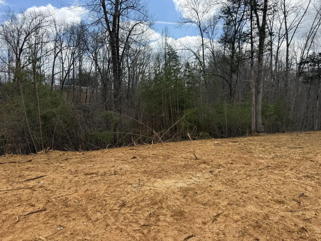 Lot 11 Phase 2 Stearns Hollow Road Monticello KY 42633