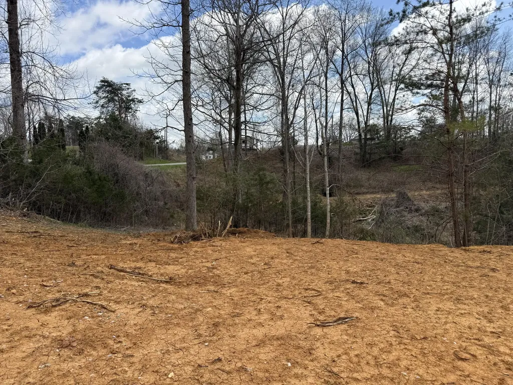 Lot 11 Phase 2 Stearns Hollow Road Monticello KY 42633