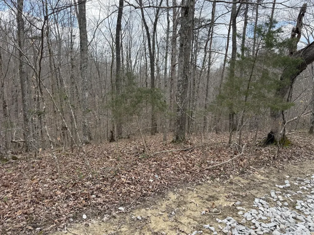 Lot 9 Phase 2 Stearns Hollow Road Monticello KY 42633