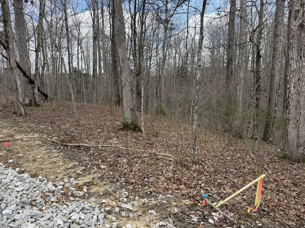 Lot 9 Phase 2 Stearns Hollow Road Monticello KY 42633
