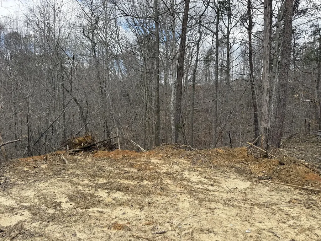 Lot 8 Phase 2 Stearns Hollow Road Monticello KY 42633