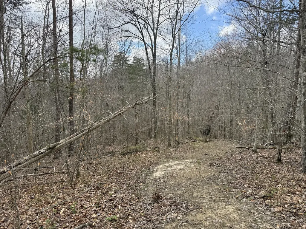 Lot 8 Phase 2 Stearns Hollow Road Monticello KY 42633