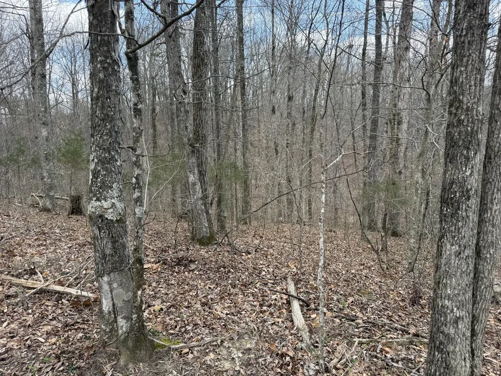 Lot 8 Phase 2 Stearns Hollow Road Monticello KY 42633